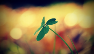 空调加氟多久加一次,空调加氟多久加一次比较好