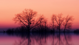 中央空调维修合同范本,中央空调维修合同样本