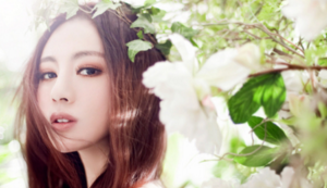 空调加氟多久加一次,空调加氟多久加一次比较好